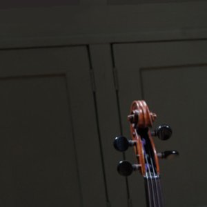 violins, violas and cellos for rent