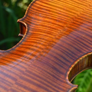 eines meiner "Dornröschen" - Stradivari-Modell 1704