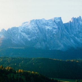 →our wood from the Dolomites